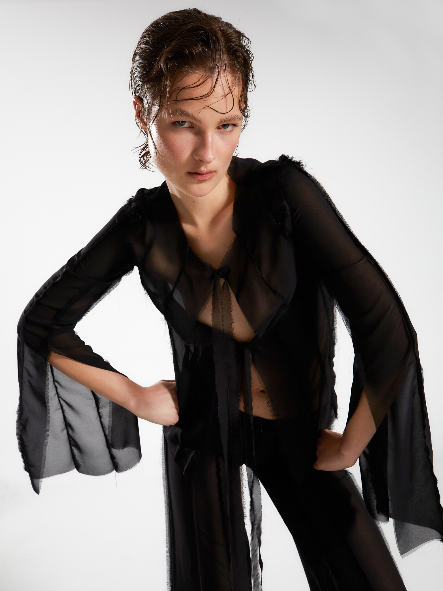 Black Beauty Elderberry Shirt