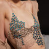 Acropora01 Top
