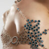 Acropora02 Top