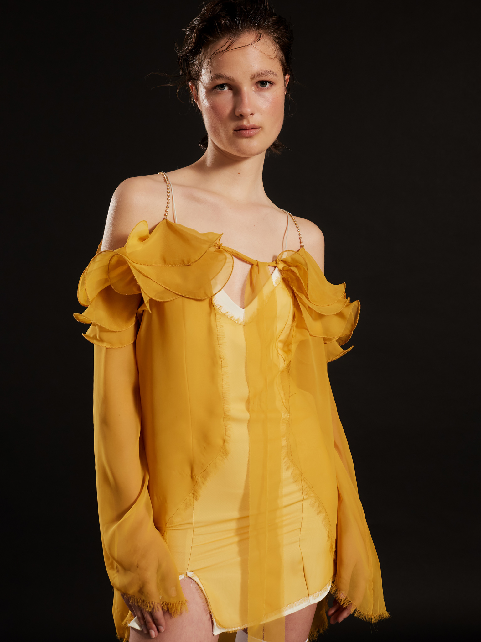 Alternative view of Aloe Dress