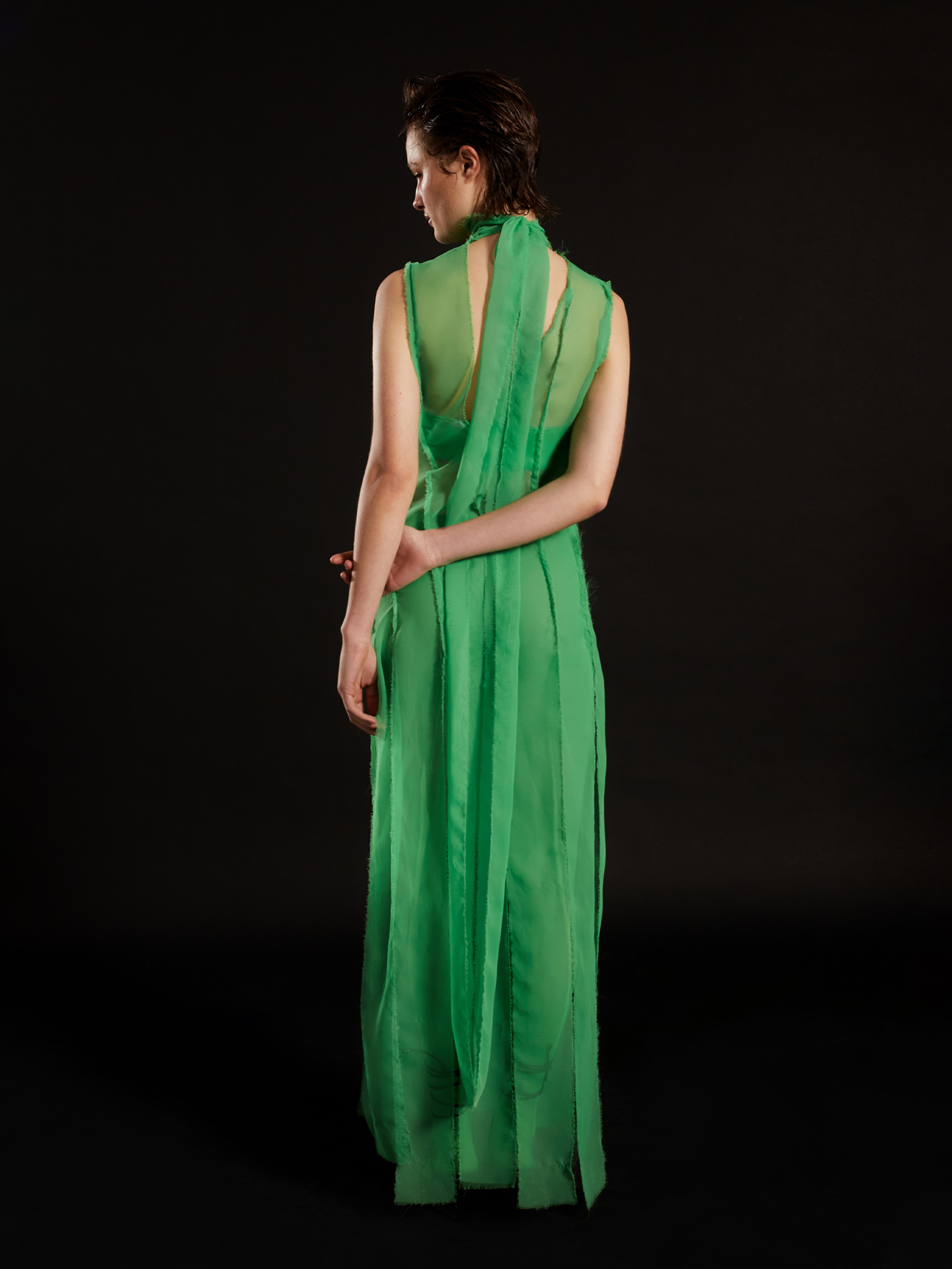 Alternative view of Ivy Dress
